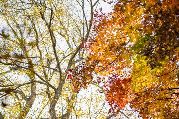 _IMG8404