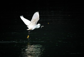 _IMG0016743