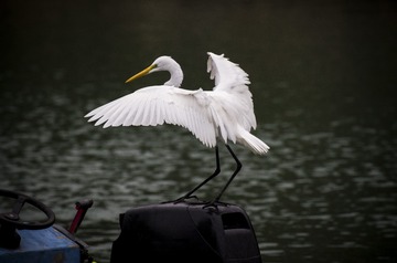_IMG0146597