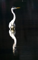 _IMG0005744