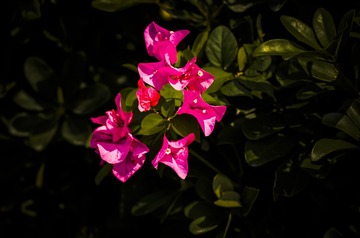_IMG0157742