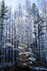 _IMG9548