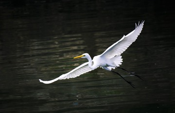 _IMG0051715