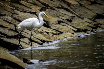 _IMG0121610