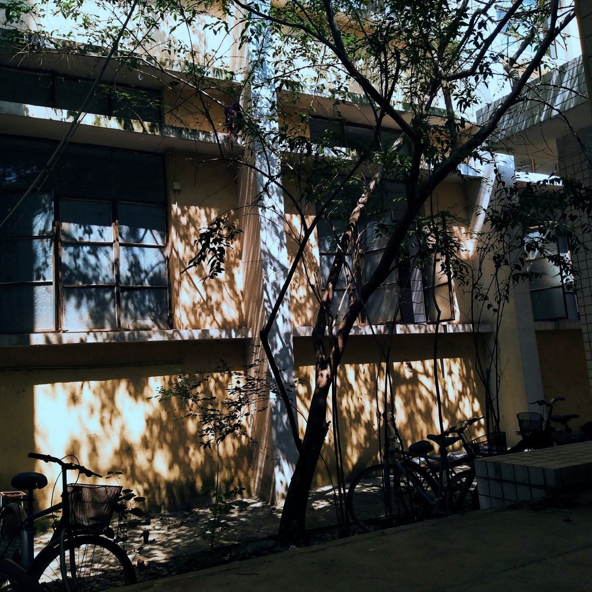 阳光,老屋,角落