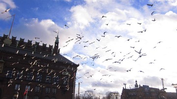 Copenhagen