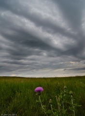 2011_070717_CODStormChase_070708_2515