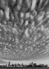 2012_0429_Adler_3150.jpg
