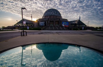 2012_0429_Adler_3157.jpg