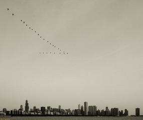 2012_0429_Adler_3177.jpg