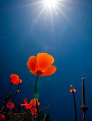 2010_0524_CambCarm2_6346