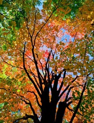 2010_1016_CantigyPark_4226