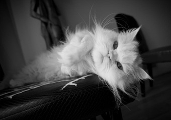 2010_Roger_7328