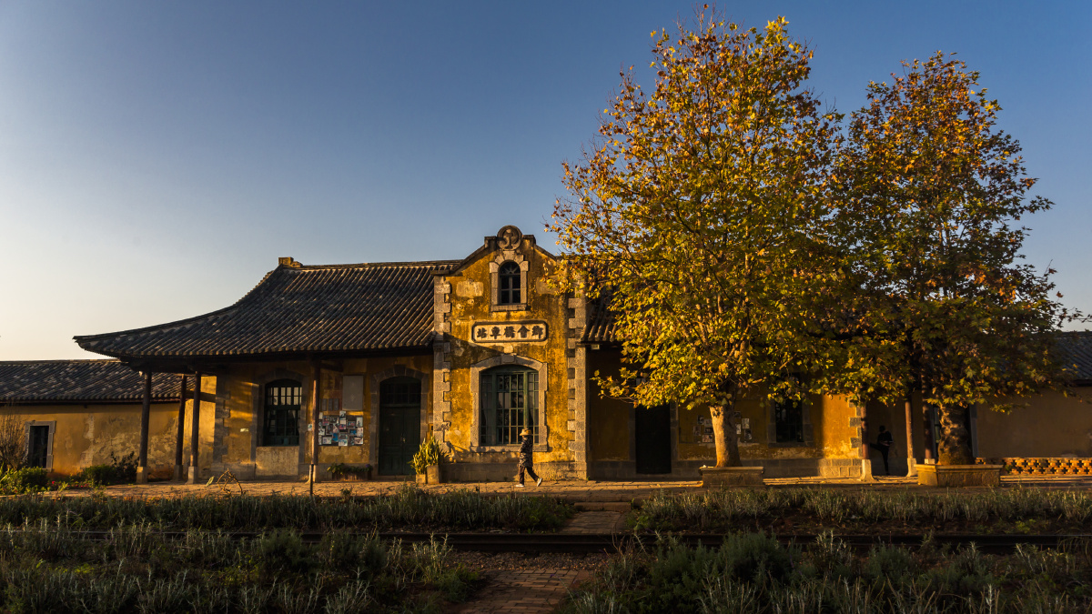 2020年11月14日摄于云南省建水县乡会桥火车站站台上的两株法国梧桐