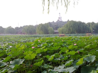 北海.jpg