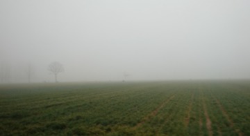 DSCF5561_