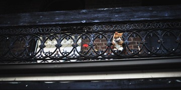 DSC_0756 副本.jpg