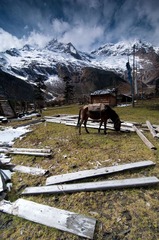 梅里雪山，笑农大本营