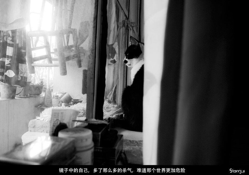 小P的沉思<br />
