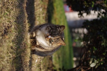 IMGP0123.JPG