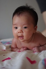 IMGP0479.JPG