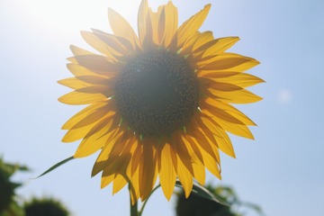 2014-07-13 04.51.50 1