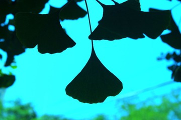IMG_4622_Fotor