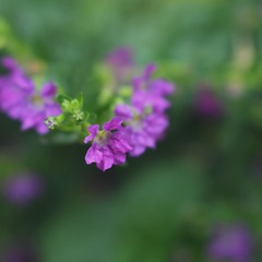 IMG_4921_Fotor_Fotor