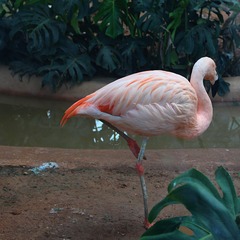 IMG_3796_Fotor