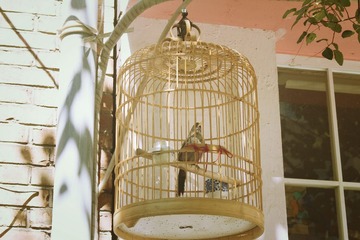IMG_4586_Fotor