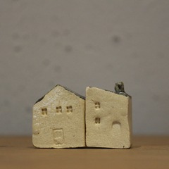 IMG_5009_Fotor
