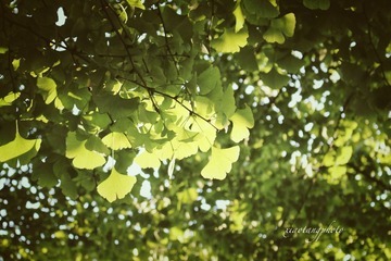 IMG_47 32_Fotor