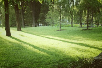 IMG_479_Fotor