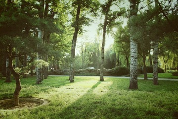IMG_4725_Fotor