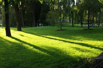 IMG_4729_Fotor