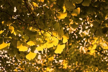 IMG_4731_Fotor