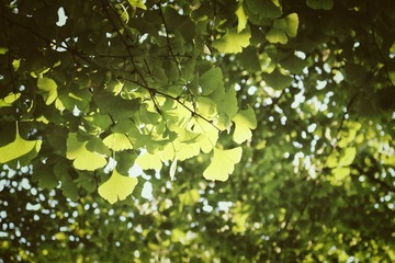 IMG_4732_Fotor