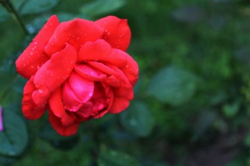 IMG_4741_Fotor