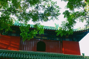 IMG_4742_Fotor