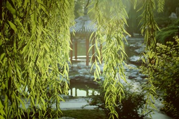 IMG_4750_Fotor
