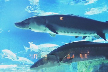 IMG_3769_Fotor