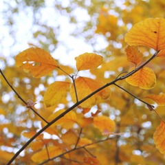 IMG_5468_Fotor 2
