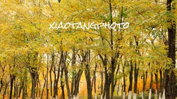 IMG_5445_Fotor