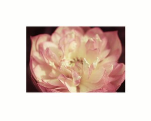 untitled.3