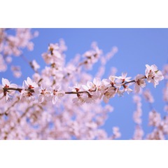 IMG_2558_Fotor