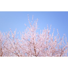 IMG_2559_Fotor 2