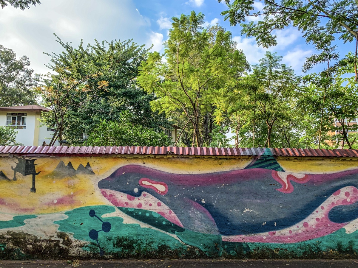 涂鸦墙上的鲸鱼