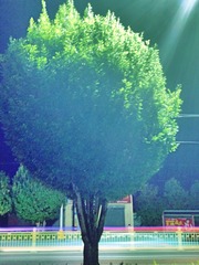 1719026