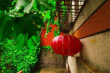 IMGP8878.jpg