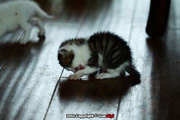 IMG_0364 副本.jpg